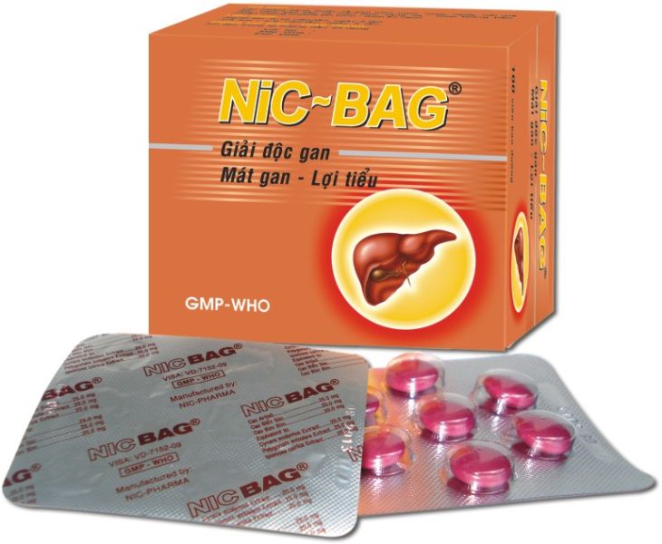 NIC-BAG