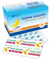 TERPIN - GOLEDIN